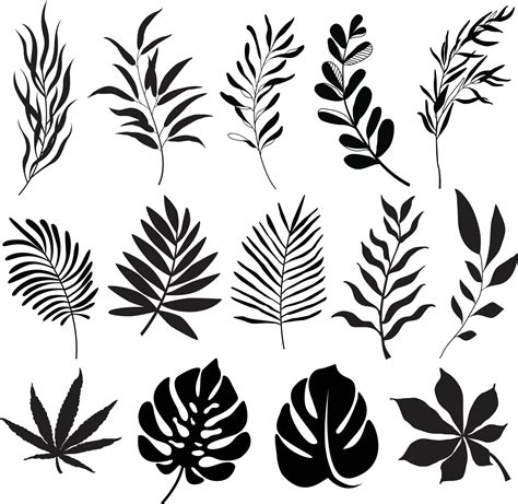 Free Leaf Vector Graphics .